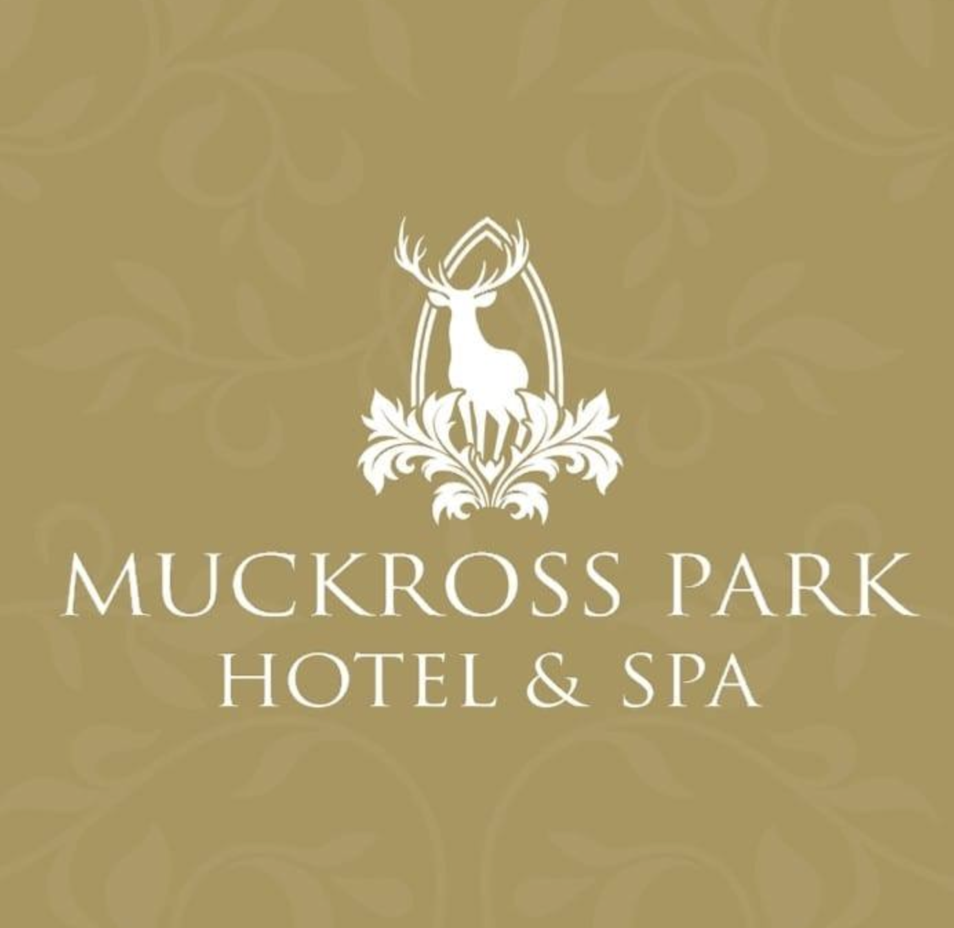 Muckross Park Hotel Spa